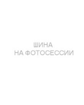 Шины Hankook 235/50 r19 Winter I Cept Evo4 X W340A 103V Шины Hankook 235/50 r19 Winter I Cept Evo4 X W340A 103V
